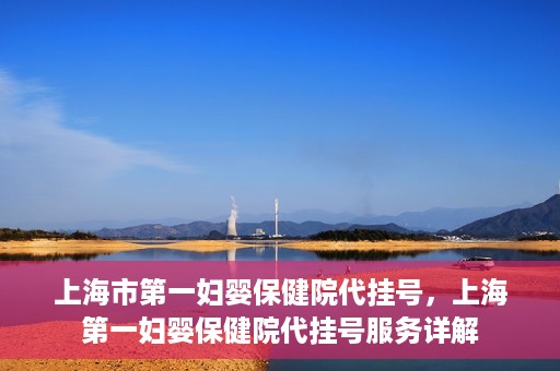 上海市第一妇婴保健院代挂号，上海第一妇婴保健院代挂号服务详解