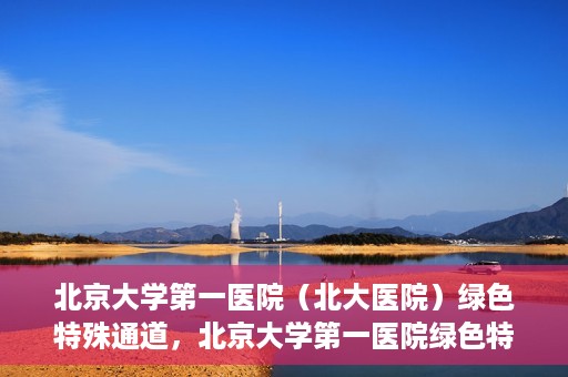北京大学第一医院（北大医院）绿色特殊通道，北京大学第一医院绿色特殊通道，健康护航的新路径