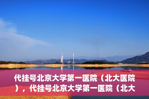 代挂号北京大学第一医院（北大医院），代挂号北京大学第一医院（北大医院），就医新体验与医疗资源的深度解读