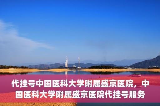 代挂号中国医科大学附属盛京医院，中国医科大学附属盛京医院代挂号服务详解