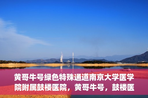 黄哥牛号绿色特殊通道南京大学医学院附属鼓楼医院，黄哥牛号，鼓楼医院开启绿色特殊通道助力健康之路