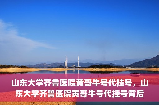 山东大学齐鲁医院黄哥牛号代挂号，山东大学齐鲁医院黄哥牛号代挂号背后的故事与探索