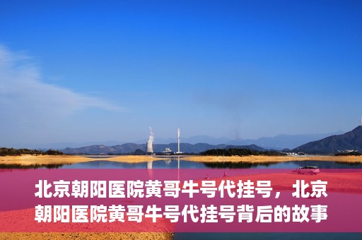 北京朝阳医院黄哥牛号代挂号，北京朝阳医院黄哥牛号代挂号背后的故事揭秘