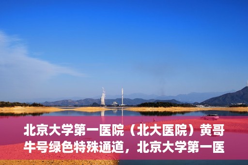 北京大学第一医院（北大医院）黄哥牛号绿色特殊通道，北京大学第一医院绿色特殊通道，黄哥牛号的探索与实践