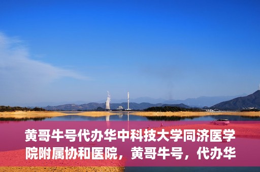 黄哥牛号代办华中科技大学同济医学院附属协和医院，黄哥牛号，代办华中科技大学同济医学院附属协和医院业务办理全攻略
