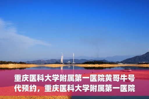 重庆医科大学附属第一医院黄哥牛号代预约，重庆医科大学附属第一医院黄哥牛号预约服务启动