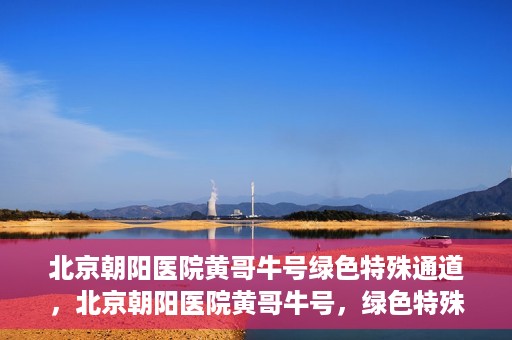 北京朝阳医院黄哥牛号绿色特殊通道，北京朝阳医院黄哥牛号，绿色特殊通道开启健康之门