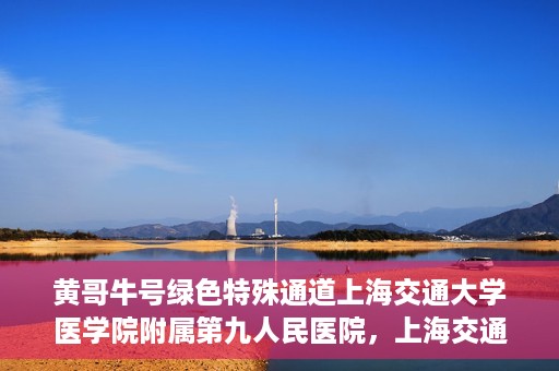 黄哥牛号绿色特殊通道上海交通大学医学院附属第九人民医院，上海交通大学医学院附属第九人民医院开通绿色特殊通道——黄哥牛号服务新篇章