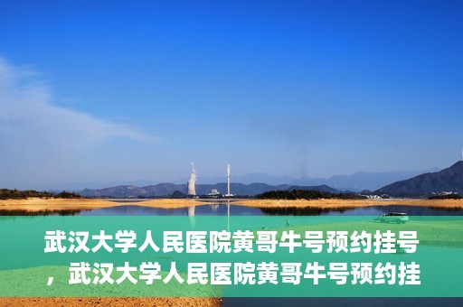 武汉大学人民医院黄哥牛号预约挂号，武汉大学人民医院黄哥牛号预约挂号攻略解析