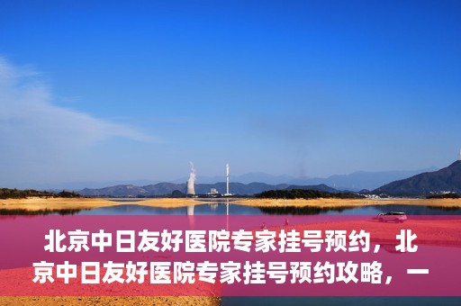 北京中日友好医院专家挂号预约，北京中日友好医院专家挂号预约攻略，一站式解决您的就医难题