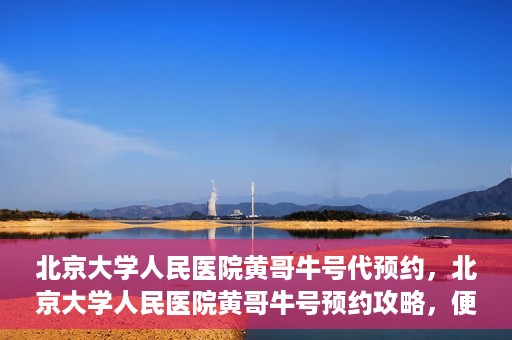 北京大学人民医院黄哥牛号代预约，北京大学人民医院黄哥牛号预约攻略，便捷代预约服务解析