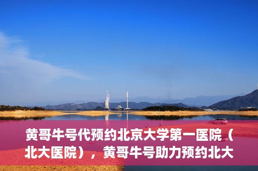 黄哥牛号代预约北京大学第一医院（北大医院），黄哥牛号助力预约北大医院——北京大学第一医院权威预约服务开启