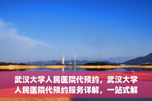 武汉大学人民医院代预约，武汉大学人民医院代预约服务详解，一站式解决您的就医难题