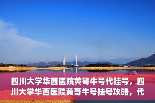 四川大学华西医院黄哥牛号代挂号，四川大学华西医院黄哥牛号挂号攻略，代挂号详解