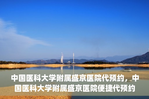 中国医科大学附属盛京医院代预约，中国医科大学附属盛京医院便捷代预约服务解析