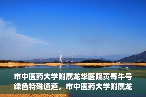 市中医药大学附属龙华医院黄哥牛号绿色特殊通道，市中医药大学附属龙华医院黄哥牛号，绿色特殊通道，健康为民服务