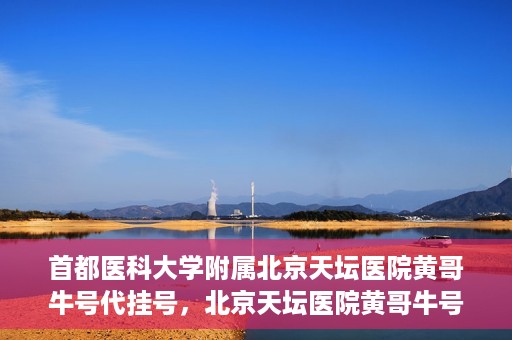 首都医科大学附属北京天坛医院黄哥牛号代挂号，北京天坛医院黄哥牛号代挂号攻略揭秘