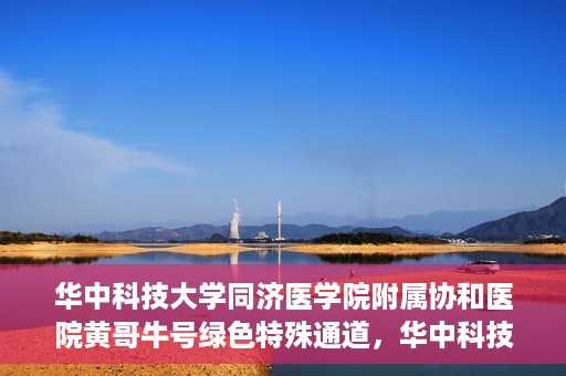 华中科技大学同济医学院附属协和医院黄哥牛号绿色特殊通道，华中科技大学同济医学院附属协和医院黄哥牛号绿色就医特殊通道揭秘