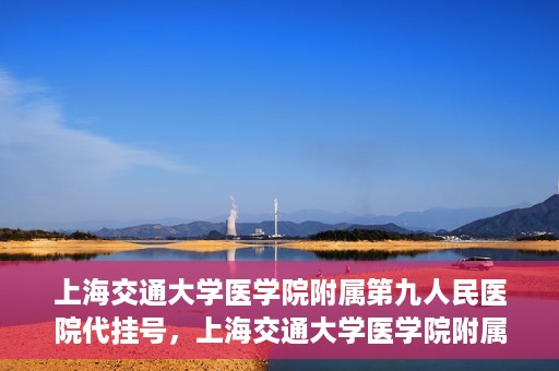 上海交通大学医学院附属第九人民医院代挂号，上海交通大学医学院附属第九人民医院代挂号服务详解