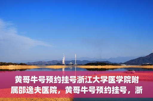 黄哥牛号预约挂号浙江大学医学院附属邵逸夫医院，黄哥牛号预约挂号，浙江大学医学院附属邵逸夫医院就医新体验