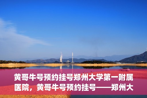 黄哥牛号预约挂号郑州大学第一附属医院，黄哥牛号预约挂号——郑州大学第一附属医院就医新体验