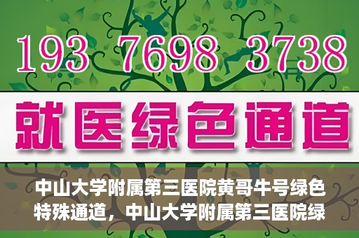 中山大学附属第三医院黄哥牛号绿色特殊通道，中山大学附属第三医院绿色特殊通道，黄哥牛号引领医疗创新之路