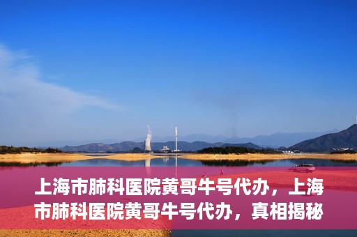 上海市肺科医院黄哥牛号代办，上海市肺科医院黄哥牛号代办，真相揭秘与深度解读