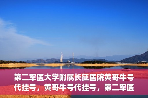 第二军医大学附属长征医院黄哥牛号代挂号，黄哥牛号代挂号，第二军医大学附属长征医院的便捷就医之路