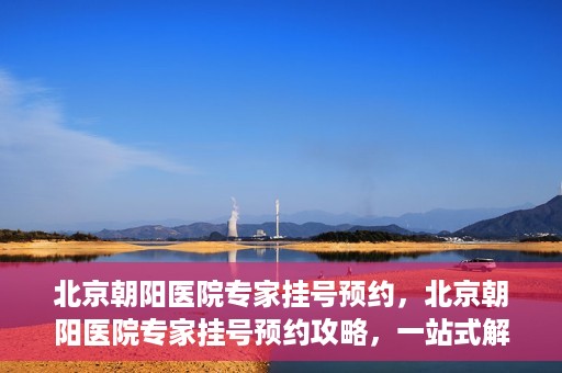 北京朝阳医院专家挂号预约，北京朝阳医院专家挂号预约攻略，一站式解决您的就医难题