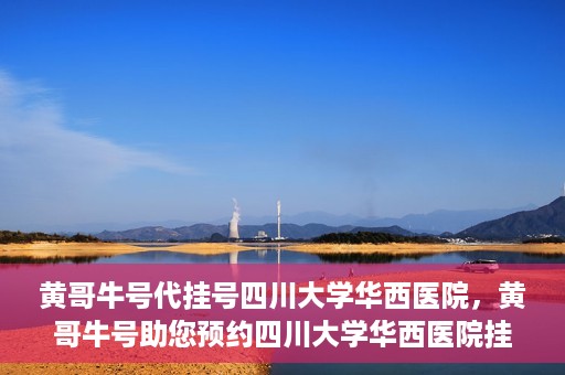黄哥牛号代挂号四川大学华西医院，黄哥牛号助您预约四川大学华西医院挂号服务