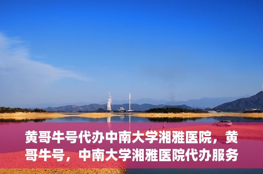 黄哥牛号代办中南大学湘雅医院，黄哥牛号，中南大学湘雅医院代办服务详解