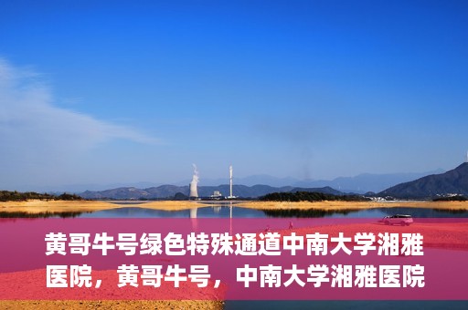 黄哥牛号绿色特殊通道中南大学湘雅医院，黄哥牛号，中南大学湘雅医院绿色特殊通道揭秘