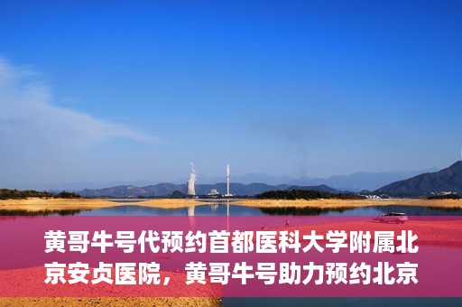 黄哥牛号代预约首都医科大学附属北京安贞医院，黄哥牛号助力预约北京安贞医院，便捷医疗新体验