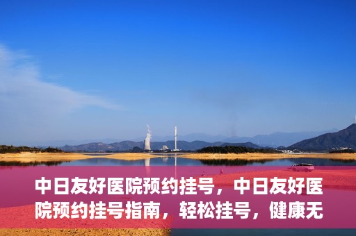 中日友好医院预约挂号，中日友好医院预约挂号指南，轻松挂号，健康无忧！