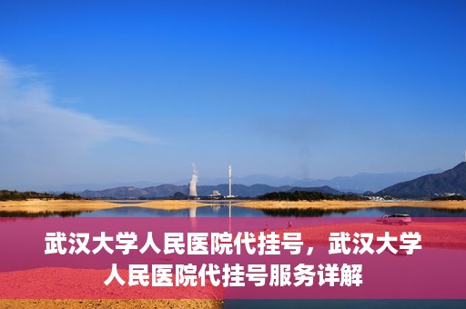 武汉大学人民医院代挂号，武汉大学人民医院代挂号服务详解