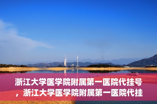 浙江大学医学院附属第一医院代挂号，浙江大学医学院附属第一医院代挂号服务详解