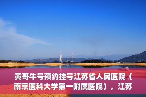 黄哥牛号预约挂号江苏省人民医院（南京医科大学第一附属医院），江苏省人民医院（南京医科大学第一附属医院）黄哥牛号预约挂号服务启动