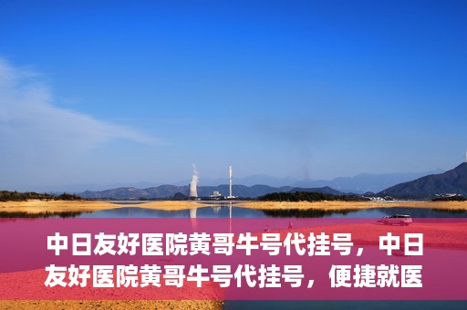 中日友好医院黄哥牛号代挂号，中日友好医院黄哥牛号代挂号，便捷就医背后的故事