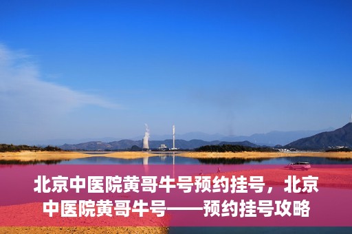 北京中医院黄哥牛号预约挂号，北京中医院黄哥牛号——预约挂号攻略