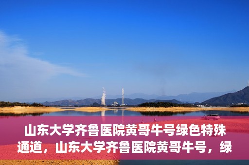 山东大学齐鲁医院黄哥牛号绿色特殊通道，山东大学齐鲁医院黄哥牛号，绿色特殊通道开启健康之门