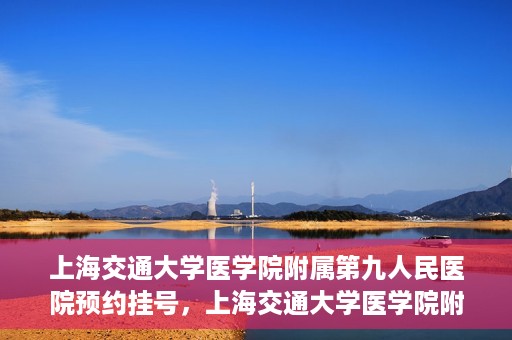 上海交通大学医学院附属第九人民医院预约挂号，上海交通大学医学院附属第九人民医院预约挂号指南，轻松挂号，便捷就医新体验