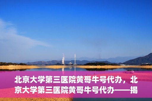 北京大学第三医院黄哥牛号代办，北京大学第三医院黄哥牛号代办——揭秘医疗预约背后的故事