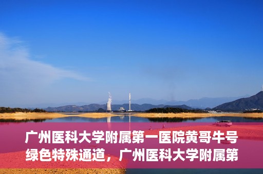 广州医科大学附属第一医院黄哥牛号绿色特殊通道，广州医科大学附属第一医院黄哥牛号，绿色特殊通道开启健康之门
