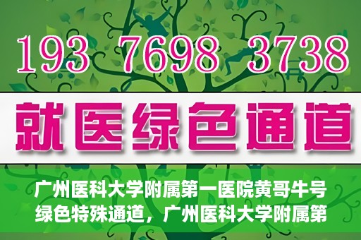 广州医科大学附属第一医院黄哥牛号绿色特殊通道，广州医科大学附属第一医院黄哥牛号，绿色特殊通道开启健康之门