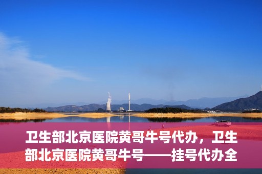 卫生部北京医院黄哥牛号代办，卫生部北京医院黄哥牛号——挂号代办全攻略