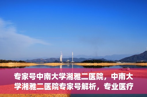 专家号中南大学湘雅二医院，中南大学湘雅二医院专家号解析，专业医疗的权威力量
