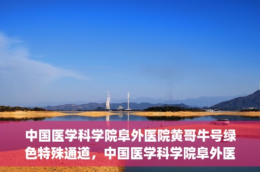 中国医学科学院阜外医院黄哥牛号绿色特殊通道，中国医学科学院阜外医院黄哥牛号，绿色特殊通道的医学力量探索