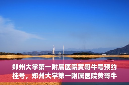 郑州大学第一附属医院黄哥牛号预约挂号，郑州大学第一附属医院黄哥牛号预约挂号攻略，轻松挂号，无忧就医体验