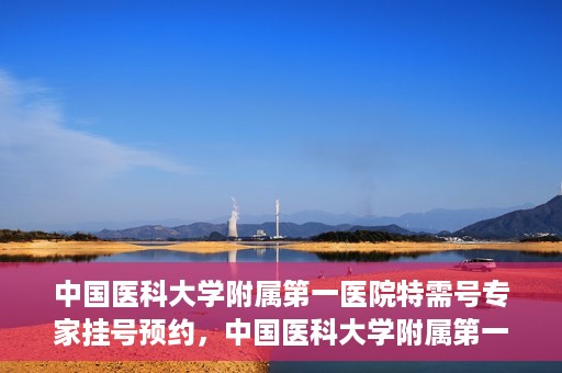 中国医科大学附属第一医院特需号专家挂号预约，中国医科大学附属第一医院特需专家挂号预约攻略