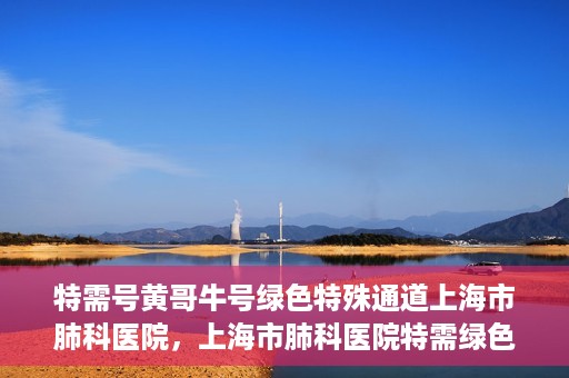 特需号黄哥牛号绿色特殊通道上海市肺科医院，上海市肺科医院特需绿色通道，黄哥牛号引领特殊关爱之旅